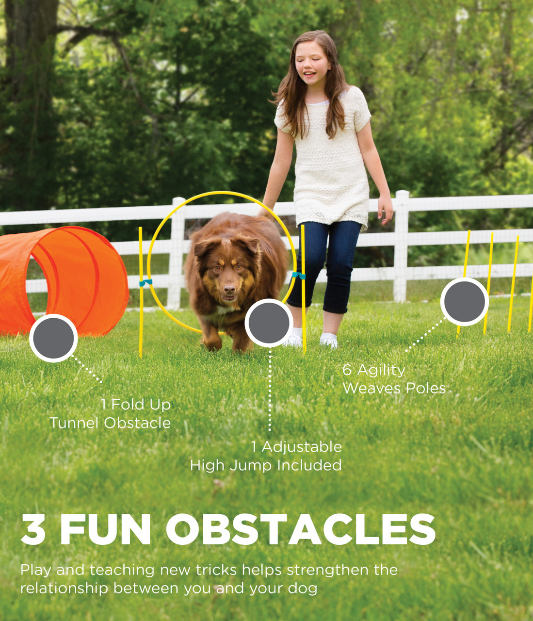 Zip & Zoom Outdoor Dog Agility Training Kit for Dogs, Multi - Image 2