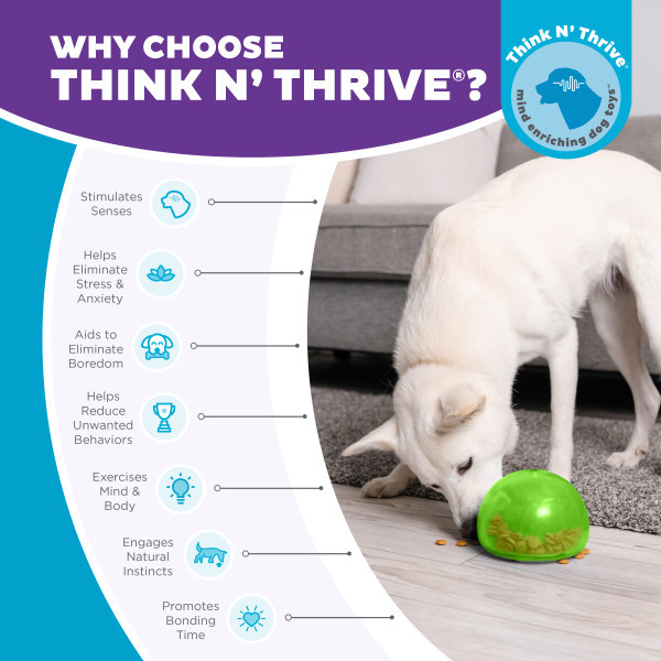 Orbee-Tuff Snoop Interactive Treat Dispensing Dog Toy, Green - Image 6