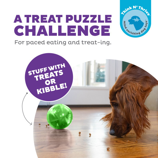 Orbee-Tuff Mazee Interactive Puzzle Dog Toy - Image 2