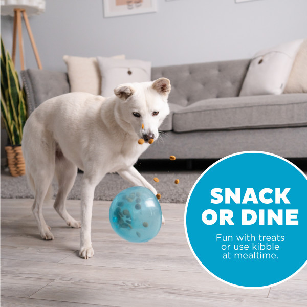 Orbee-Tuff Snoop Interactive Treat Dispensing Dog Toy, Large - Image 5