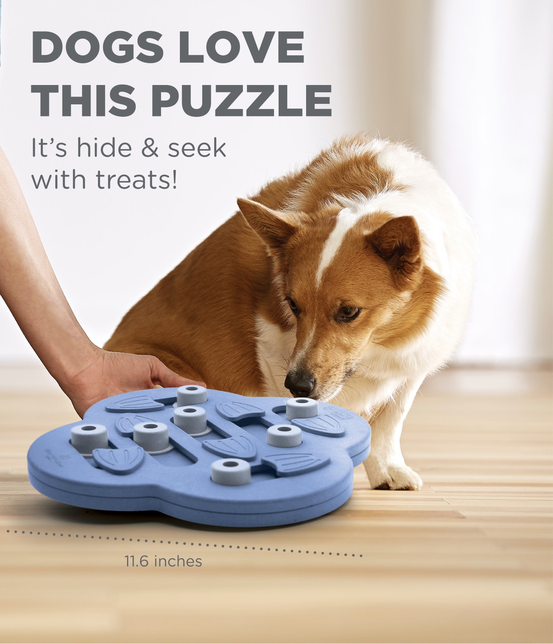 Dog Hide N' Slide Interactive Treat Puzzle Dog Toy, Purple - Image 4