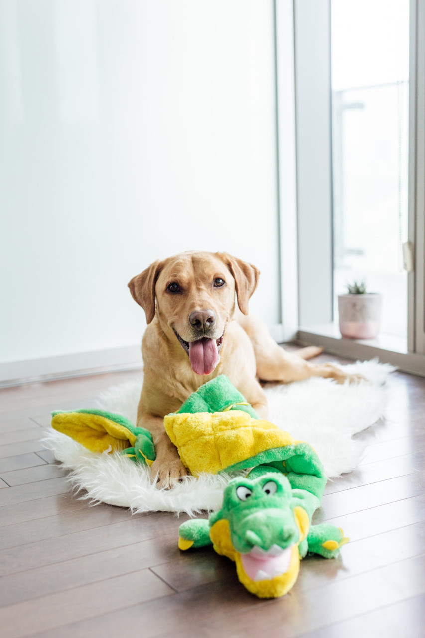 Squeaker Matz Plush Toy, Gator - Image 28