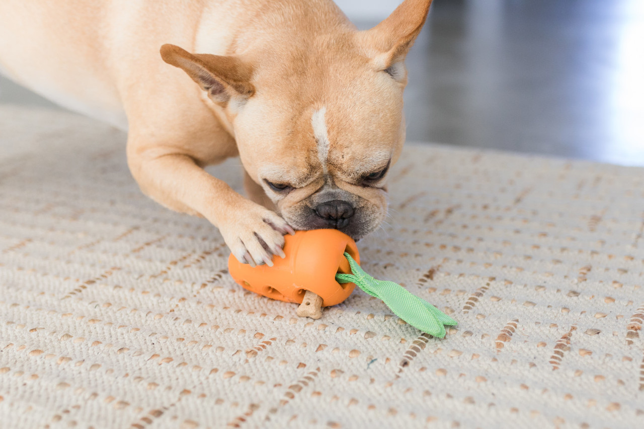 Carrot Stuffer Treat-Dispensing Interactive Dog Toy, Orange - Image 6