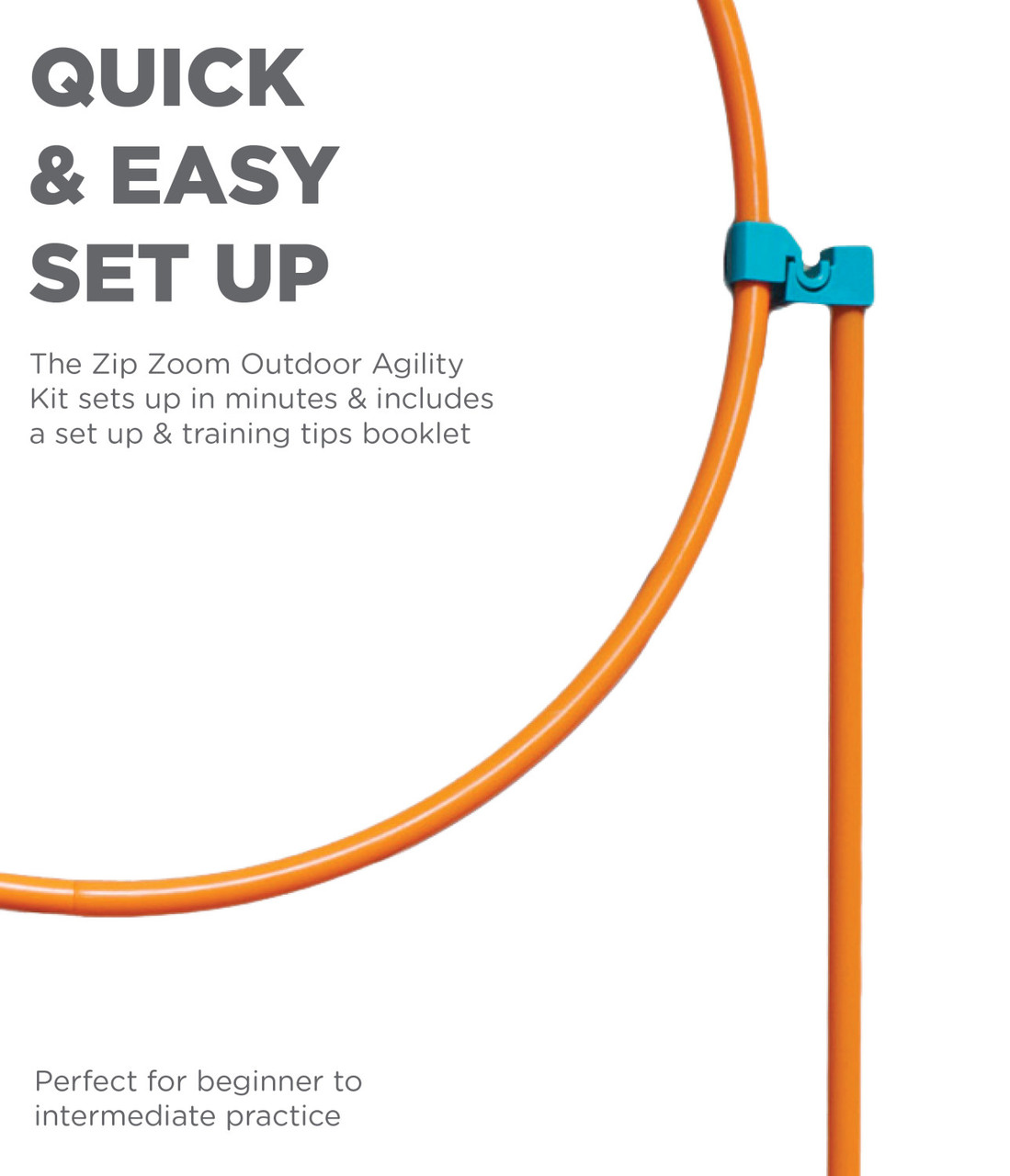 Zip & Zoom Outdoor Dog Agility Training Kit for Dogs, Multi - Image 3