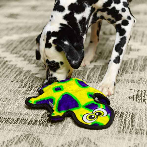 Durablez Gecko Plush Dog Toy, Medium - Image 15