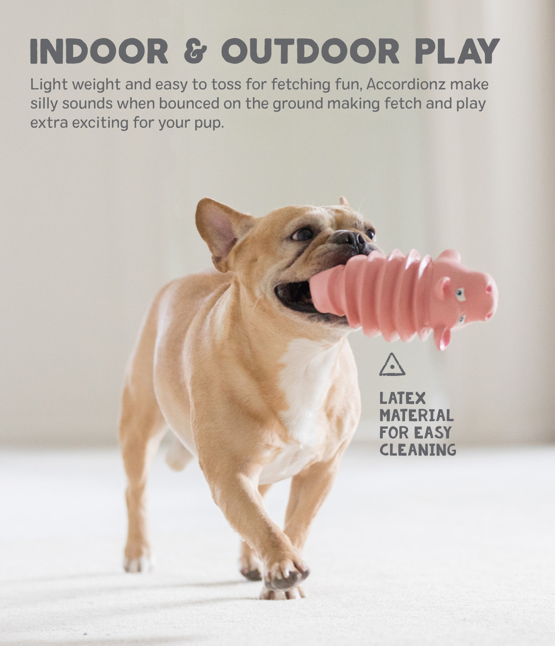 Accordionz Alligator Latex Rubber Dog Toy - Image 8