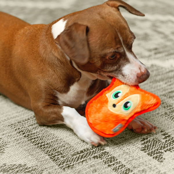 Durablez Mini Plush Dog Toy - Image 24