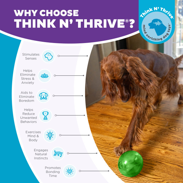 Orbee-Tuff Mazee Interactive Puzzle Dog Toy - Image 6