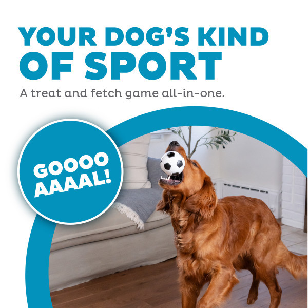 Orbee-Tuff Soccer Ball Treat-Dispensing Dog Chew Toy, White - Image 2