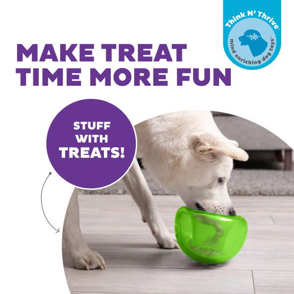 Orbee-Tuff Snoop Interactive Treat Dispensing Dog Toy, Green - Image 2