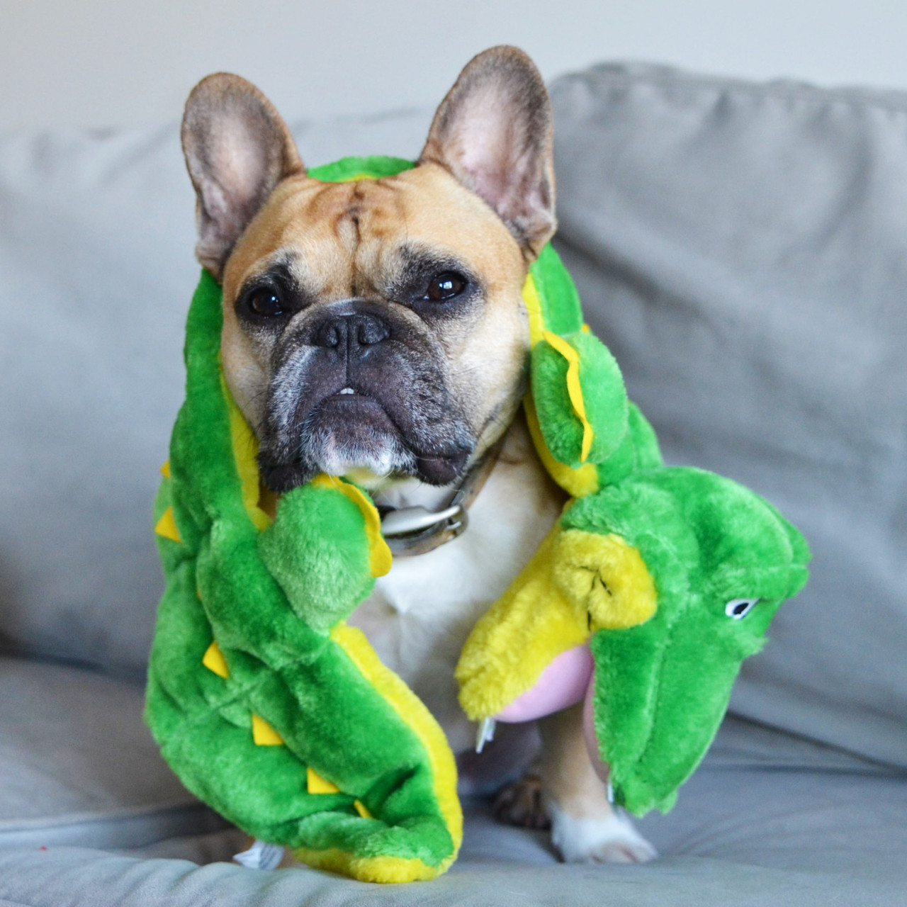 Squeaker Matz Plush Toy, Gator - Image 6