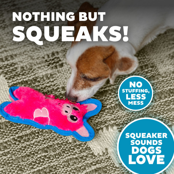 Durablez Mini Plush Dog Toy - Image 38