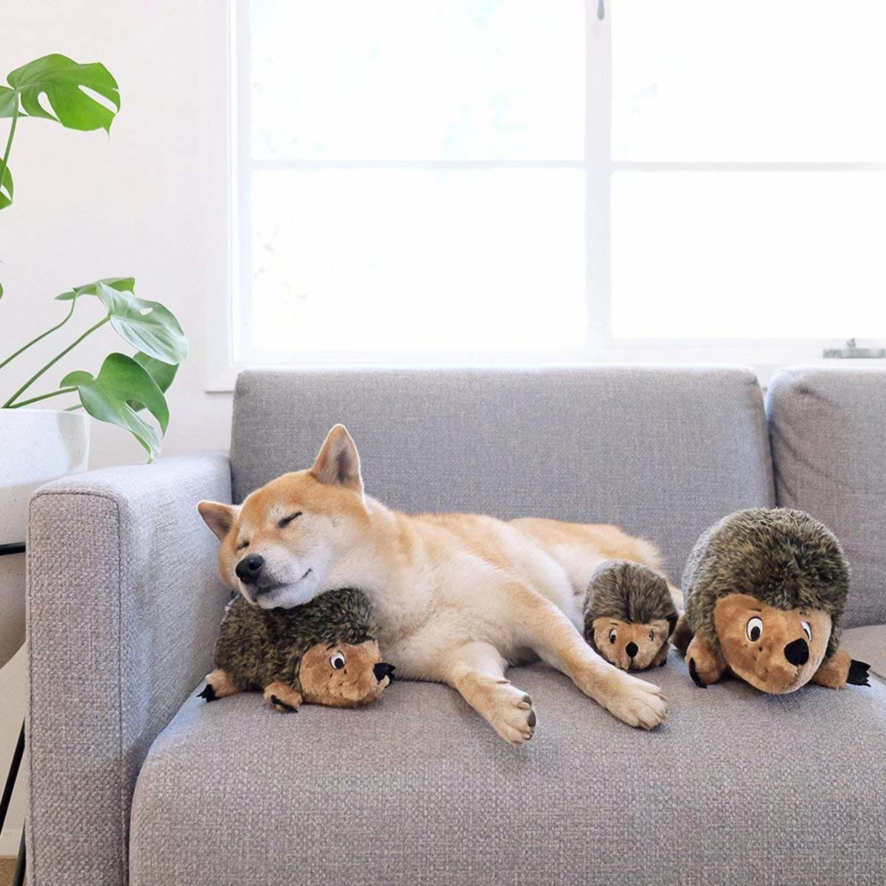 Hedgehogz Dog Toy - Image 17
