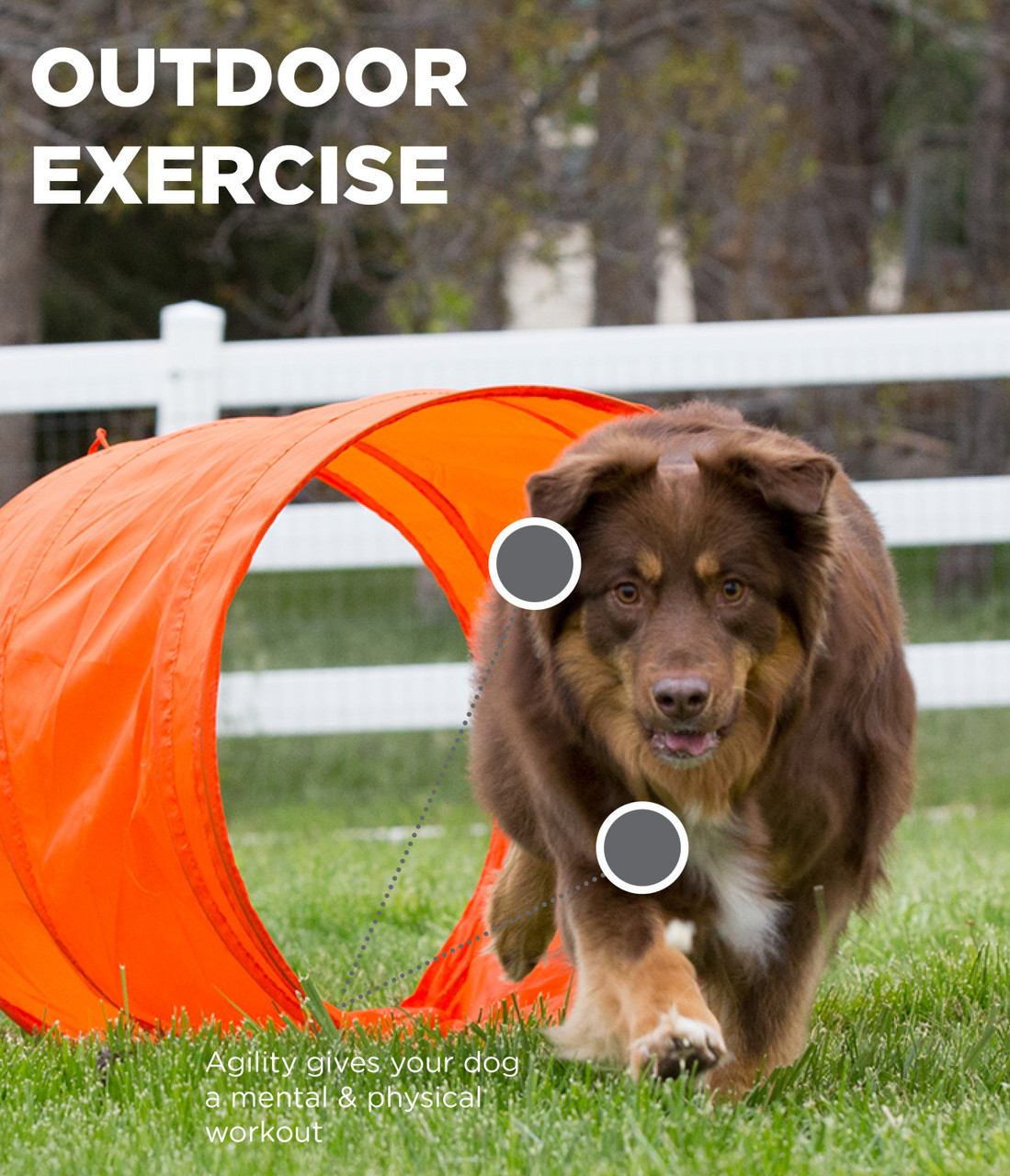 Zip & Zoom Outdoor Dog Agility Training Kit for Dogs, Multi - Image 4