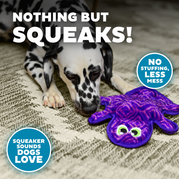 Durablez Gecko Plush Dog Toy, Medium - Image 4
