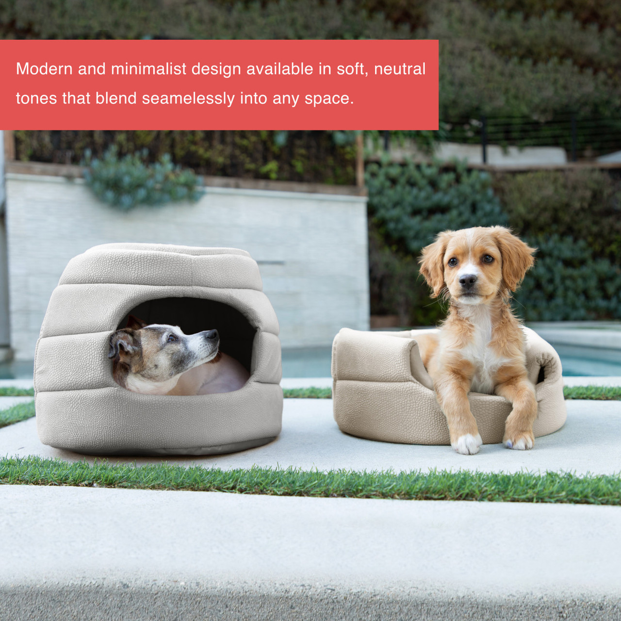 2-in-1 Honeycomb Ilan Hut Cuddler Cat and Dog Bed, Regular - Image 10