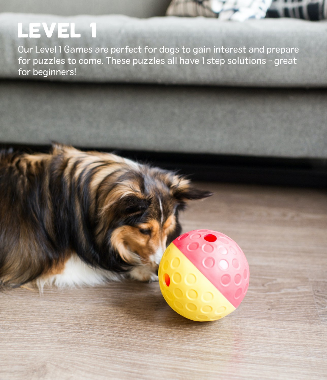 Treat Tumble Interactive Puzzle Dog Toy, Blue, Small - Image 5