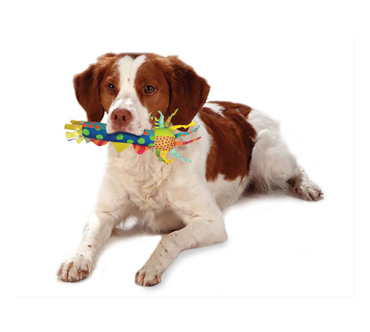 Cool Teething Stick Dog Toy, Multi - Image 3