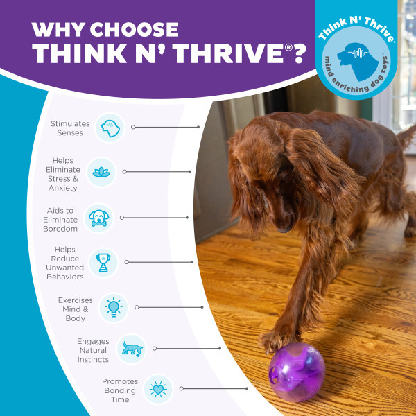 Mazee Interactive Puzzle Dog Toy, Purple - Image 6