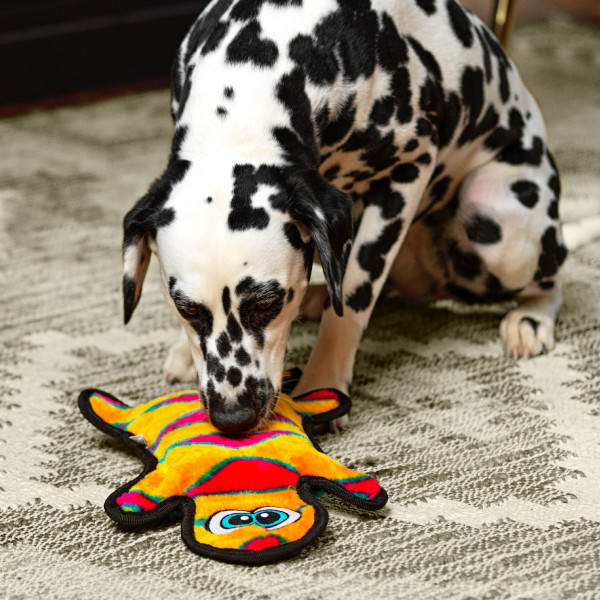 Durablez Gecko LG - Image 10