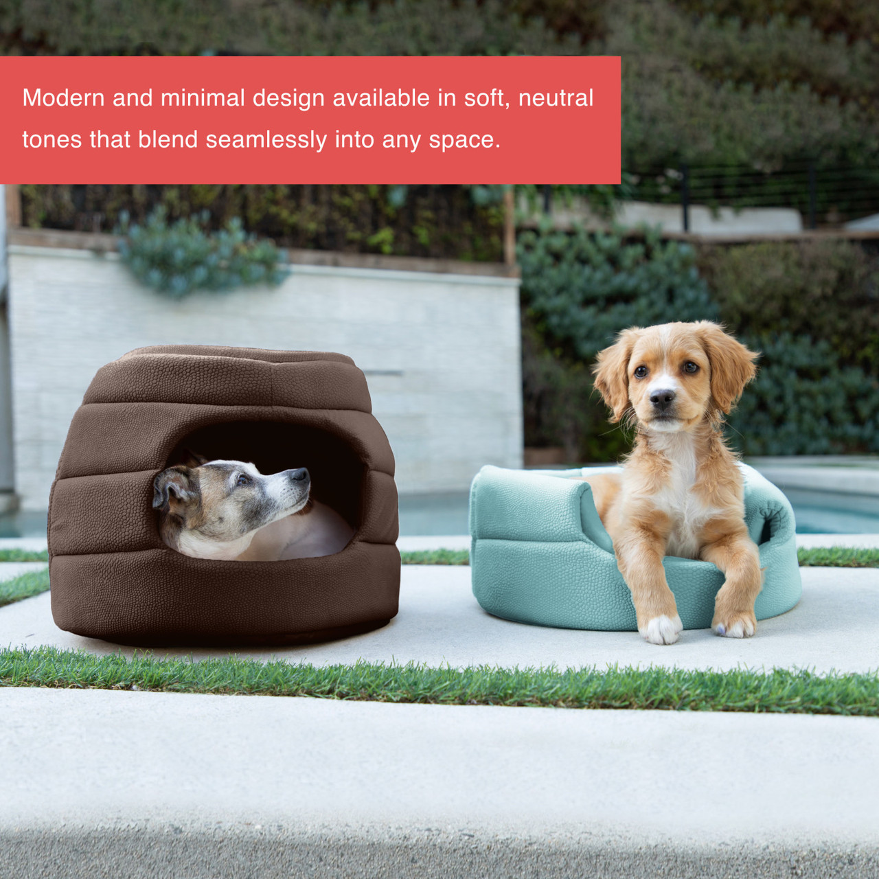 2-in-1 Honeycomb Ilan Hut Cuddler Cat and Dog Bed, Regular - Image 15