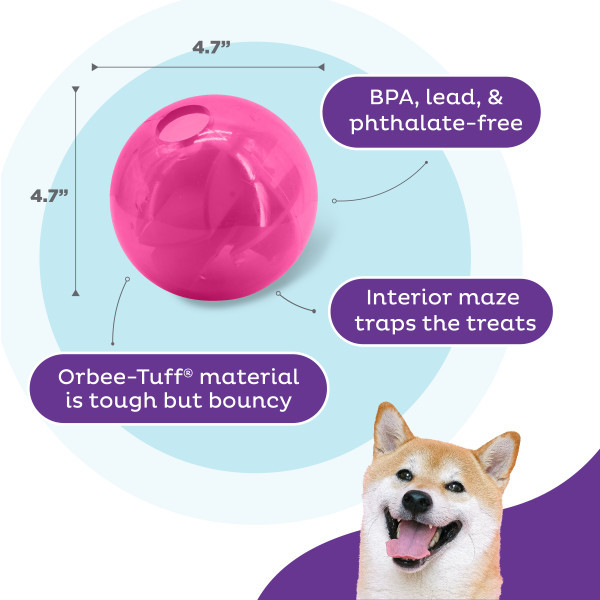 Orbee-Tuff Mazee Interactive Puzzle Dog Toy - Image 9