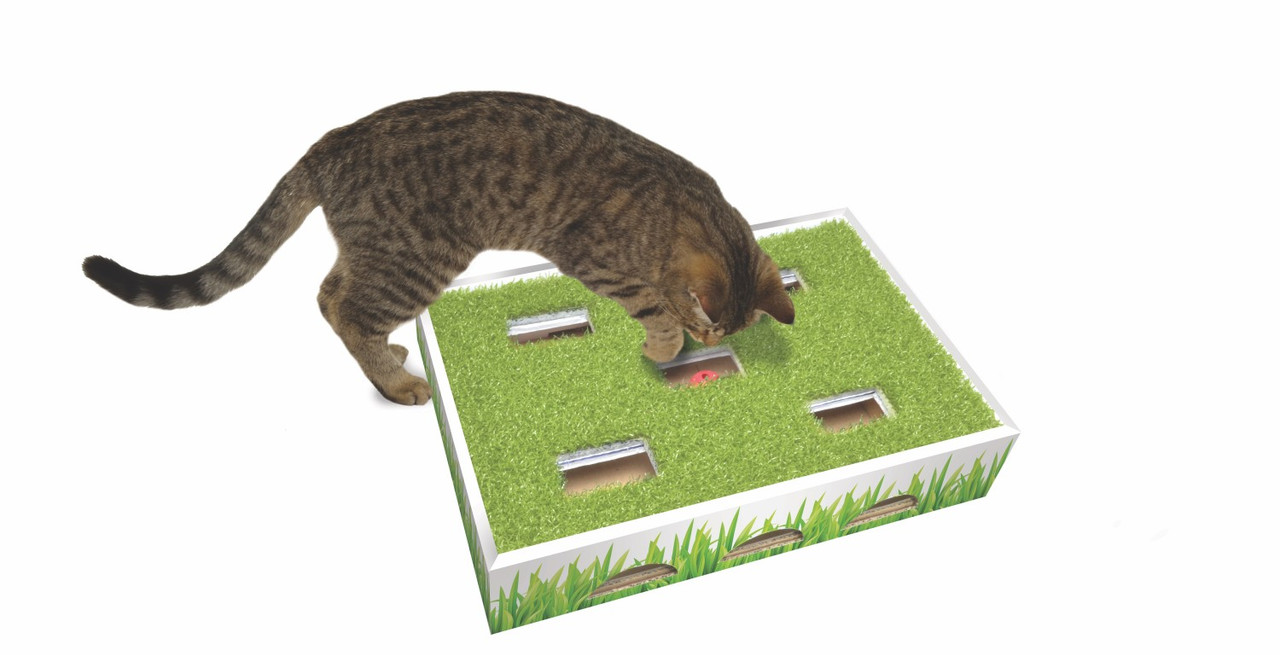 Grass Patch Hunting Box Cat Toy, Green - Image 3
