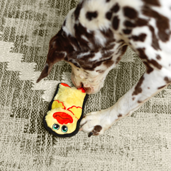 Durablez Mini Plush Dog Toy - Image 19