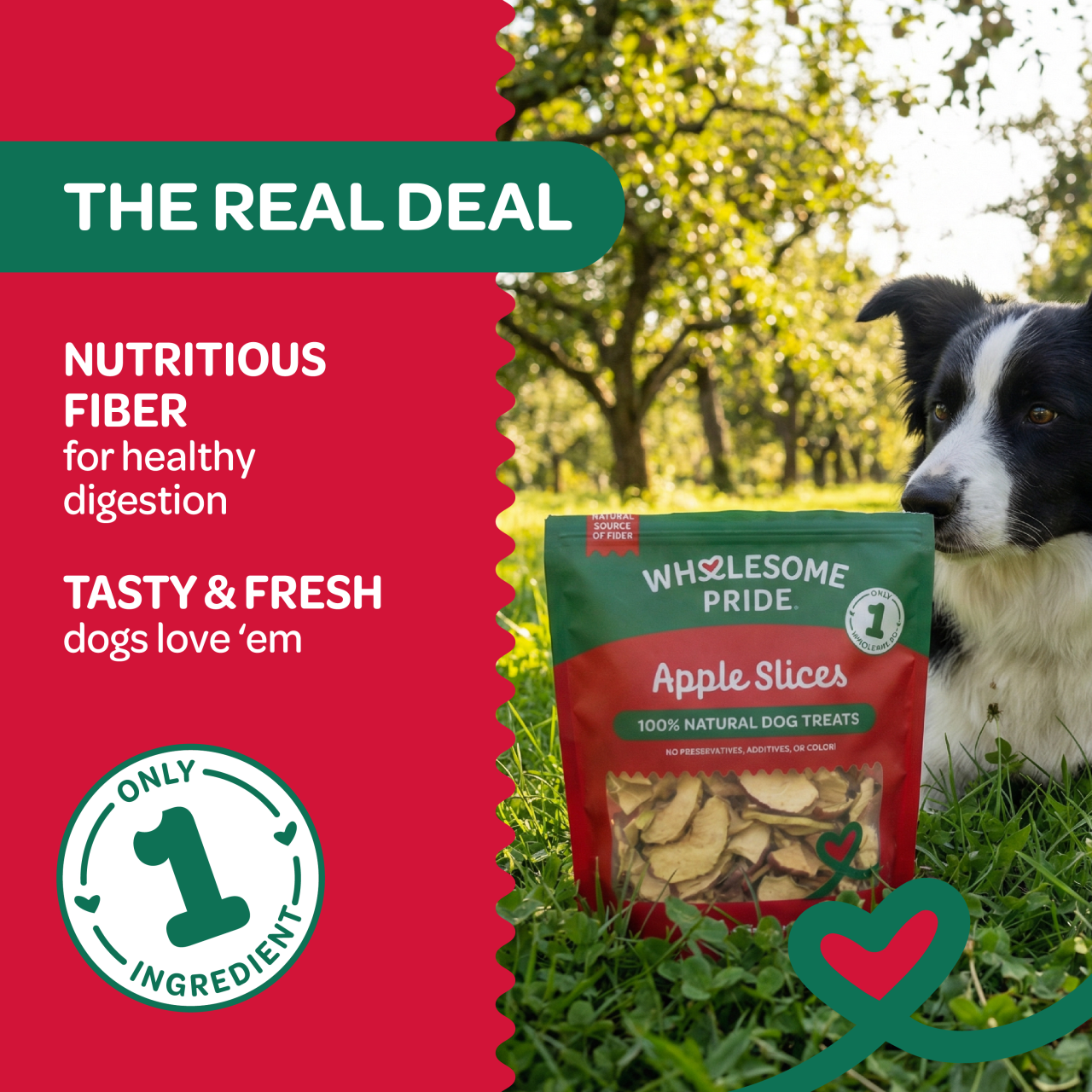 Apple Slices Dog Treats, Red, 8 Oz - Image 4
