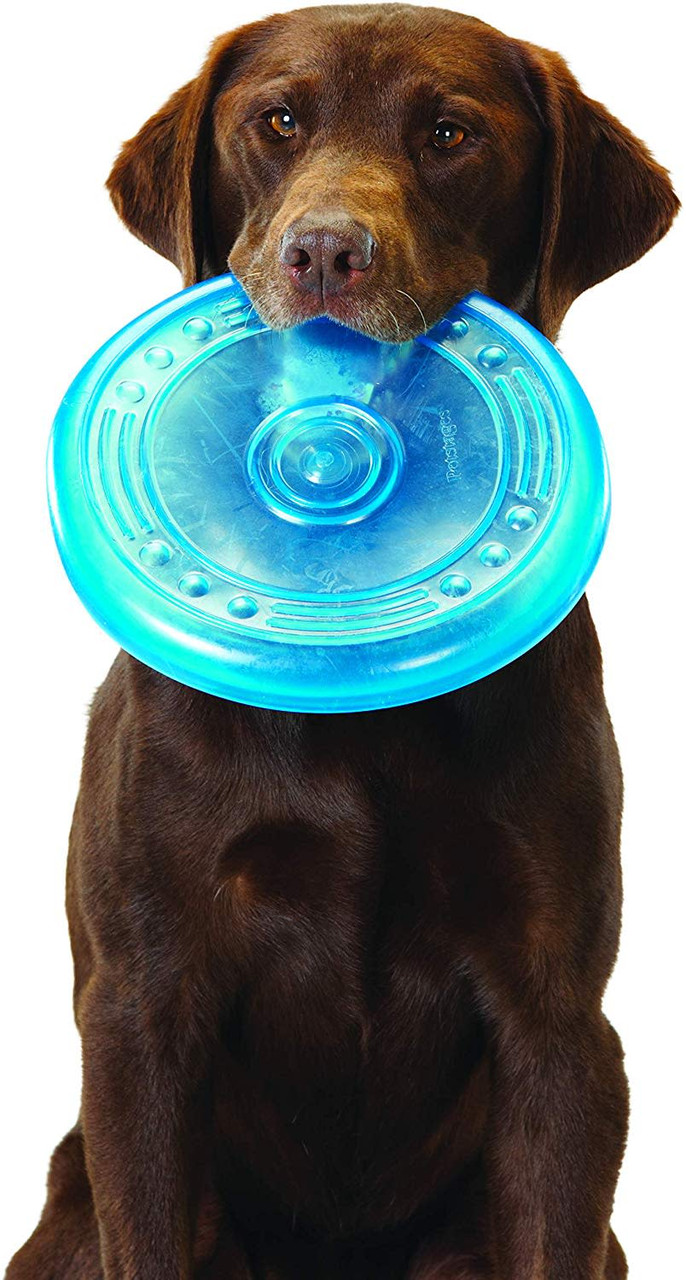 Orka Flyer Flying Disc Dog Toy, Royal Blue - Image 3