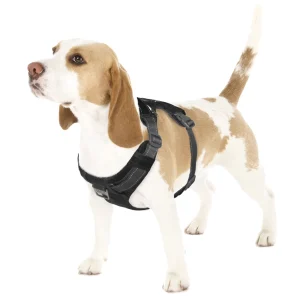 Boulder Adventure Adjustable Dog Harness