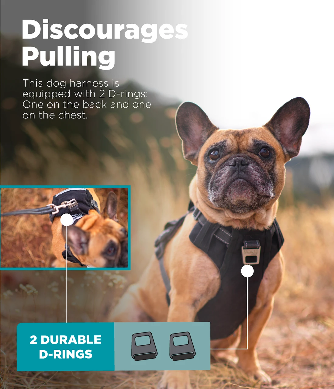Boulder Adventure Adjustable Dog Harness - Image 4