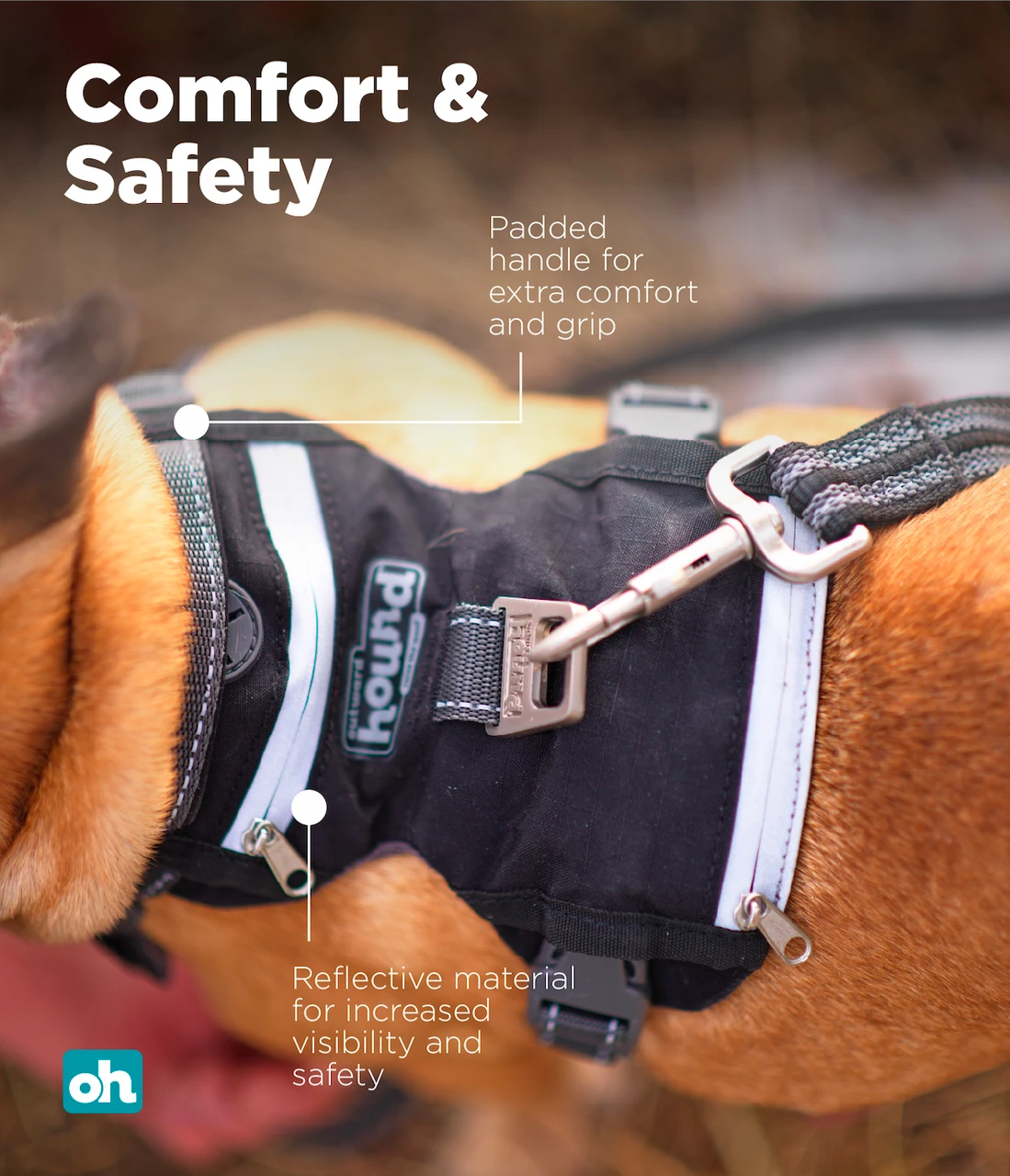 Boulder Adventure Adjustable Dog Harness - Image 5