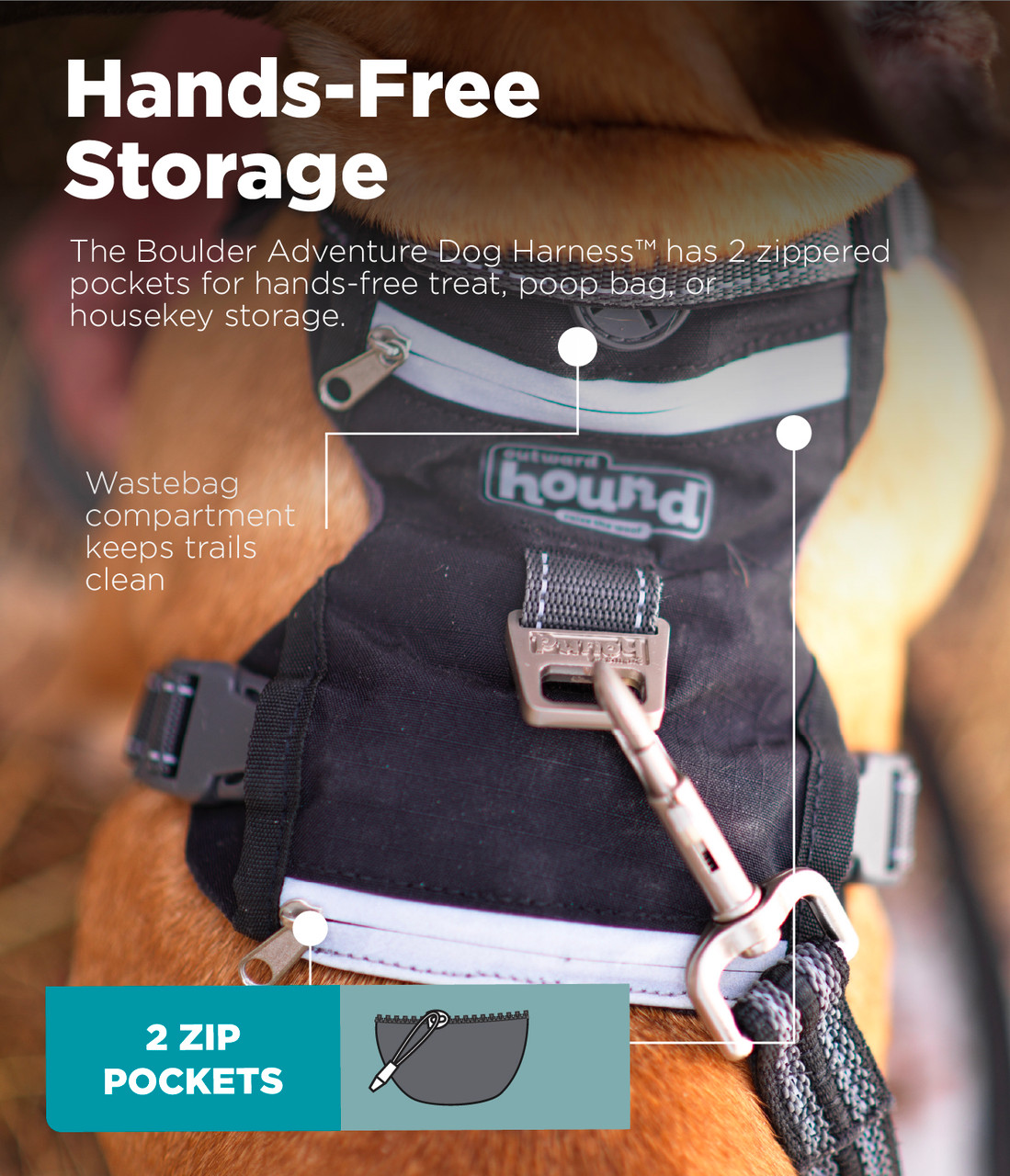 Boulder Adventure Adjustable Dog Harness - Image 6
