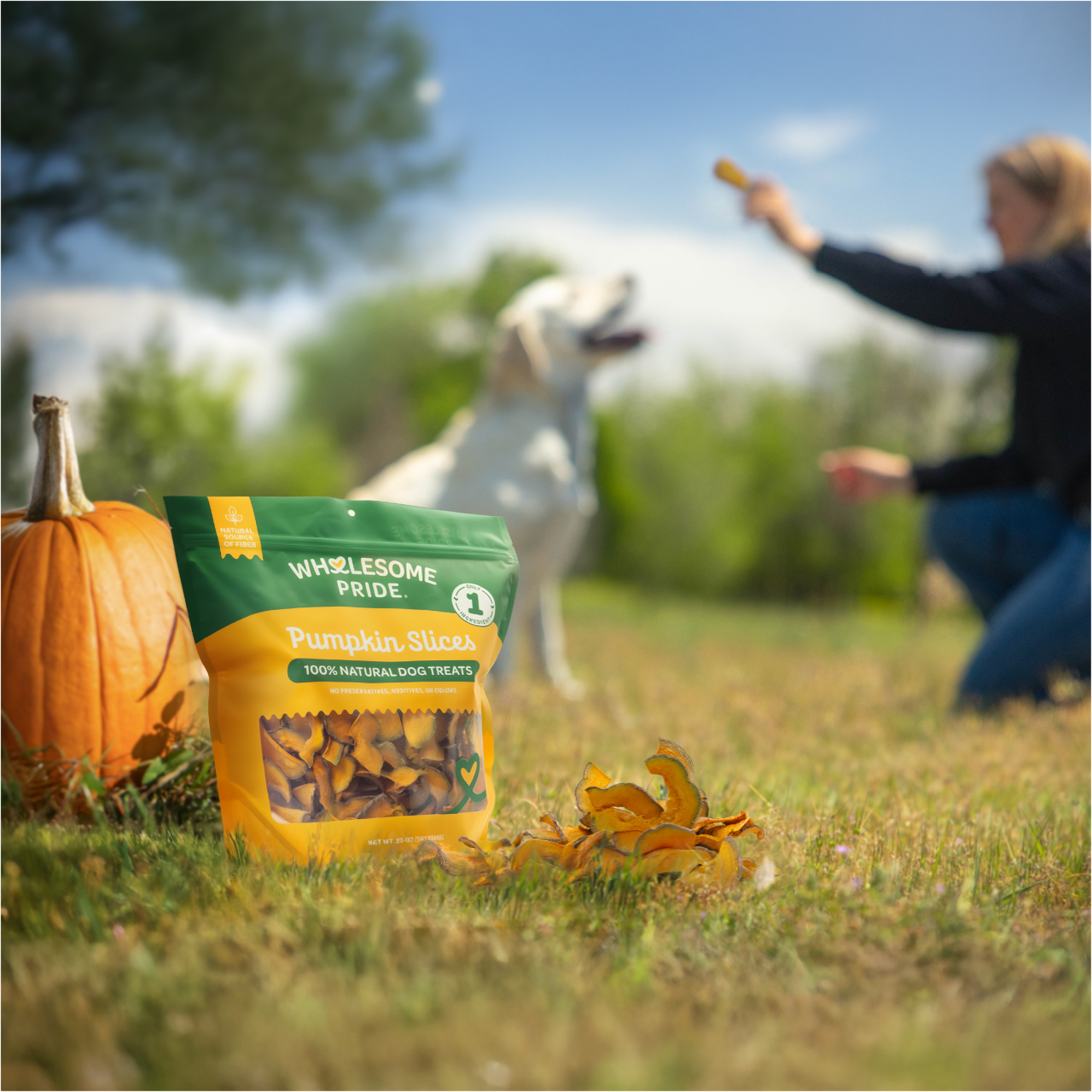 Wholesome Pride Pumpkin Slices 5oz - Image 6