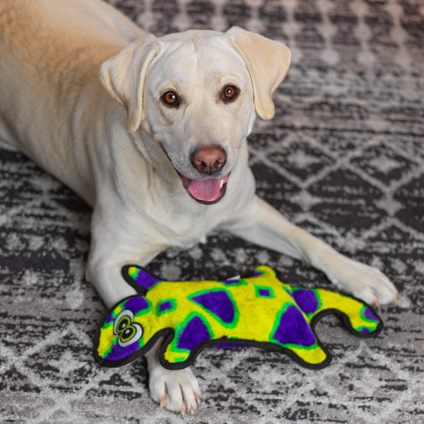 Durablez Gecko LG - Image 5