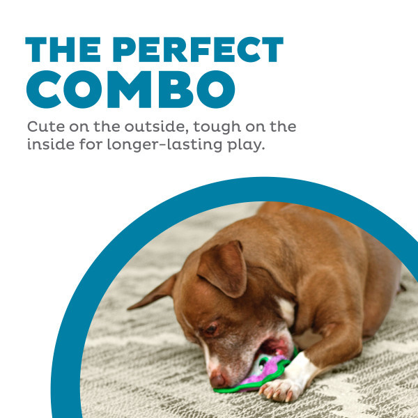 Durablez Mini Plush Dog Toy - Image 11