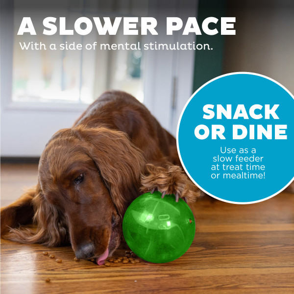 Orbee-Tuff Mazee Interactive Puzzle Dog Toy - Image 5