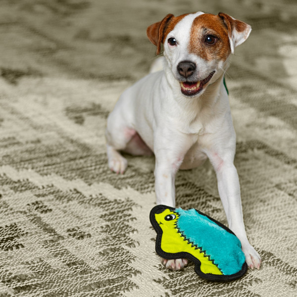 Durablez Mini Plush Dog Toy - Image 9