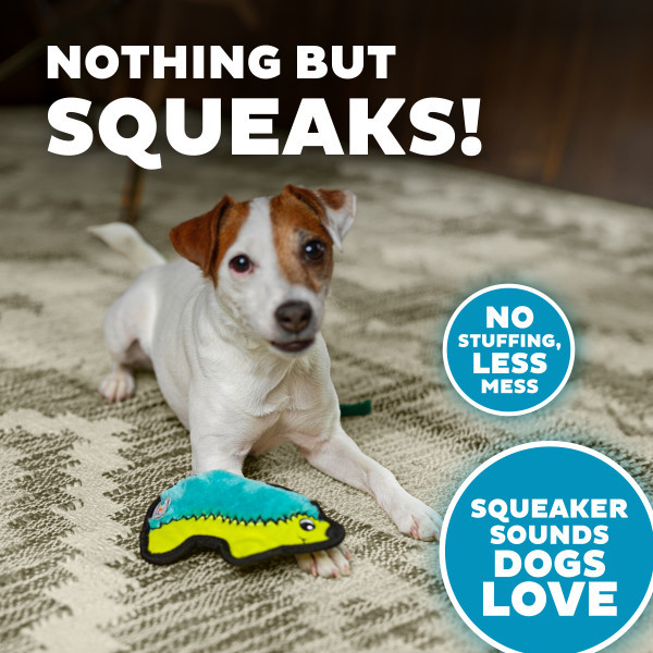 Durablez Mini Plush Dog Toy - Image 8