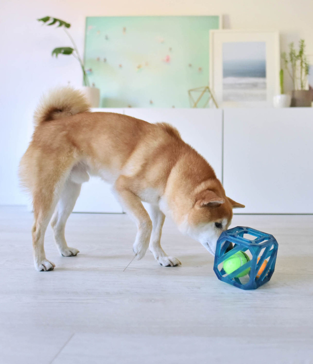 Puzzle Cube Interactive Squeaky Dog Toy, Blue - Image 6