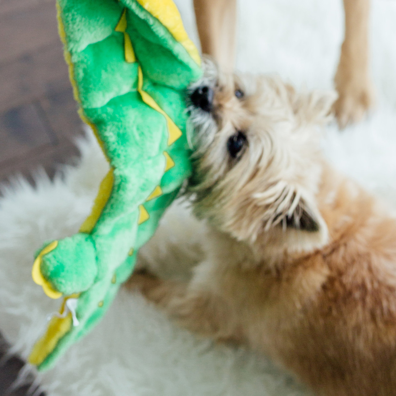 Squeaker Matz Plush Toy, Gator - Image 15