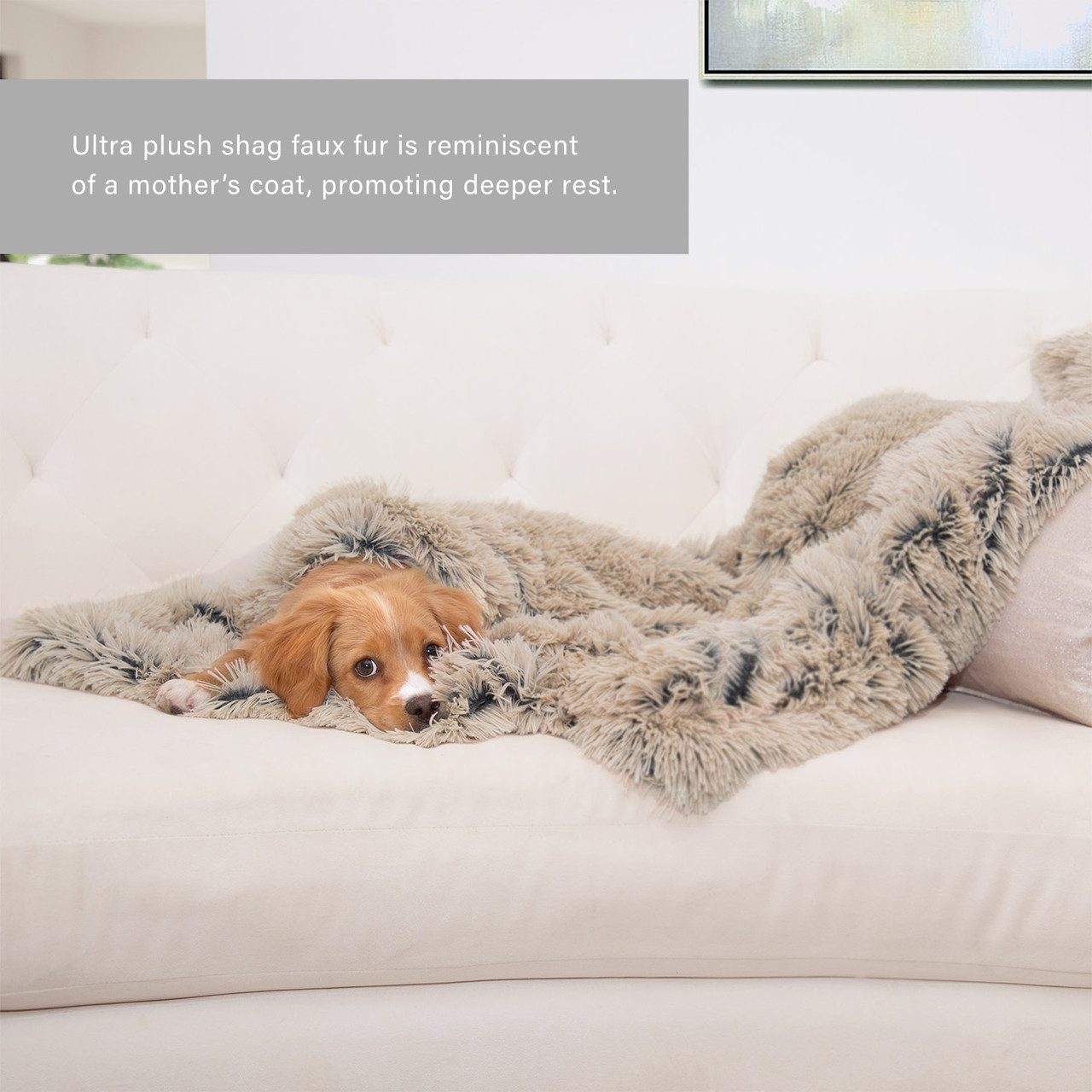 Shag Pet Throw Blanket, 30x40 - Image 5