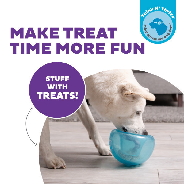 Orbee-Tuff Snoop Interactive Treat Dispensing Dog Toy, Large - Image 2