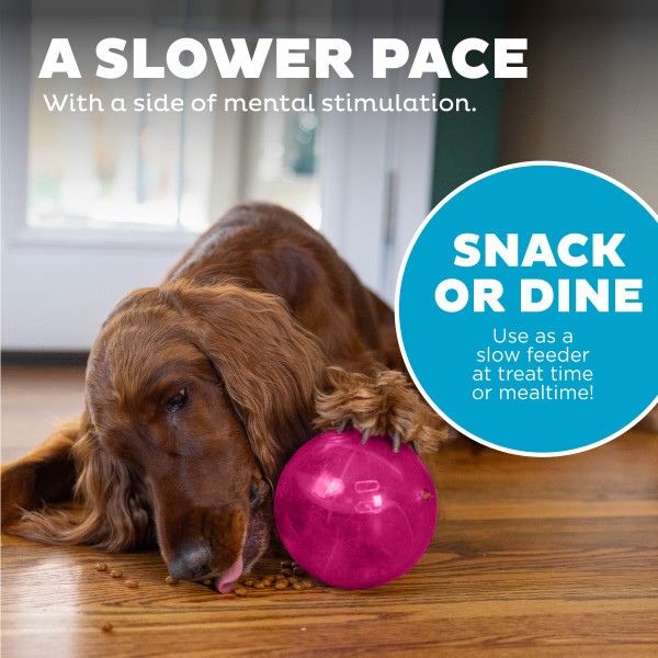 Orbee-Tuff Mazee Interactive Puzzle Dog Toy - Image 11