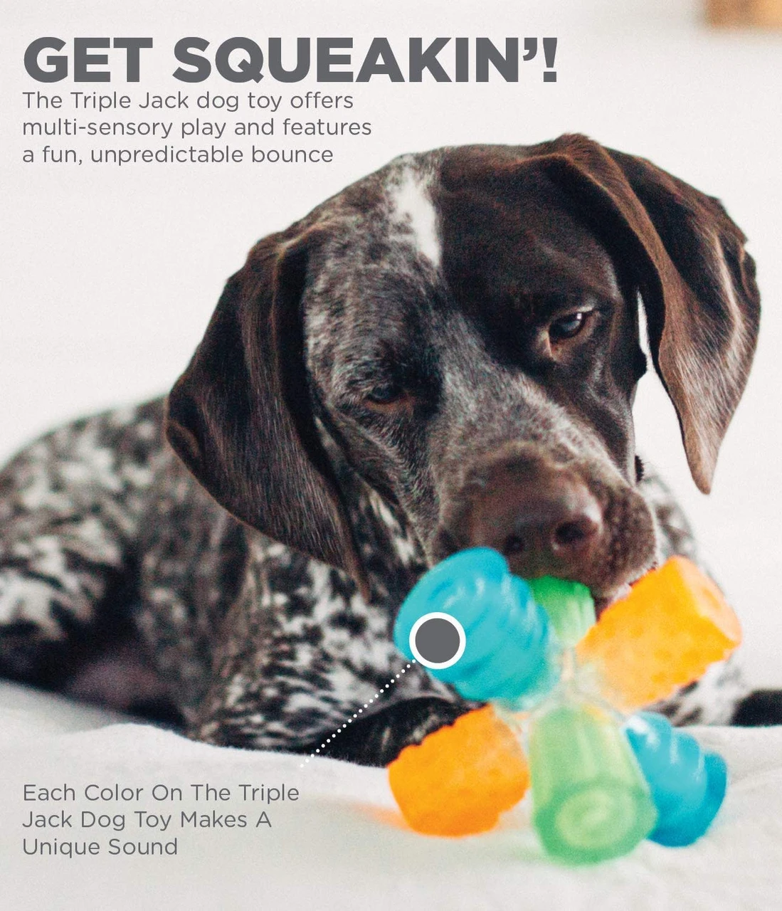 Triple Jack Interactive Multi-Squeak Dog Toy, Multi - Image 4
