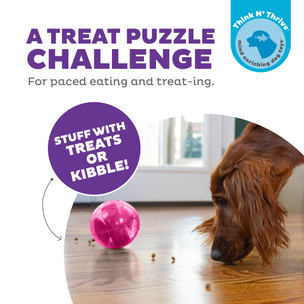 Orbee-Tuff Mazee Interactive Puzzle Dog Toy - Image 8