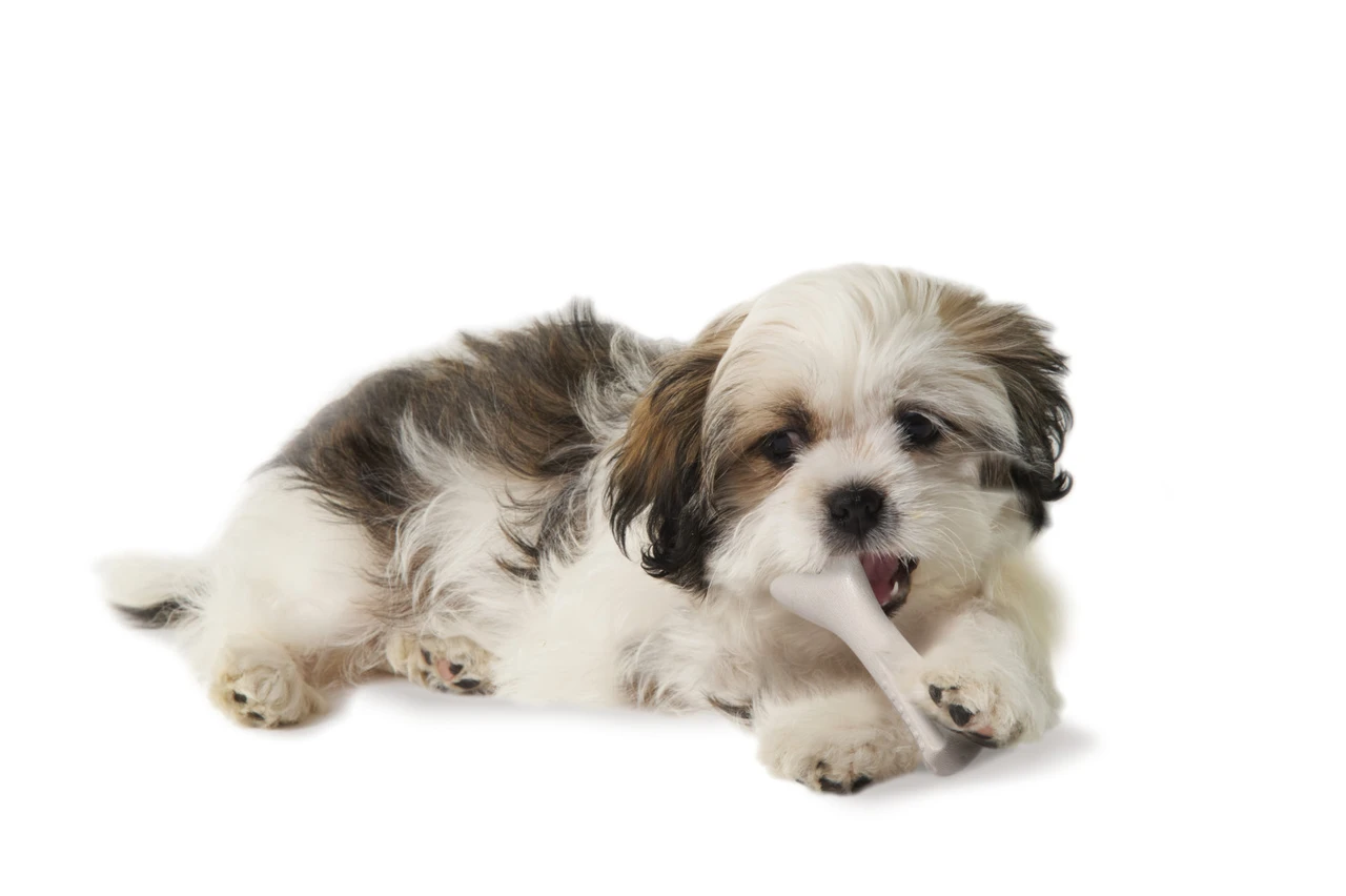 Deerhorn Antler Alternative Dog Chew Toy - Image 8