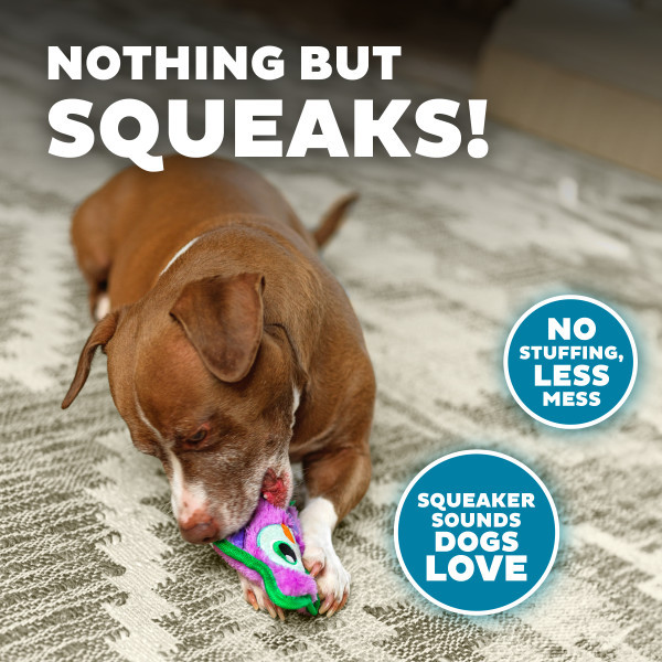 Durablez Mini Plush Dog Toy - Image 13