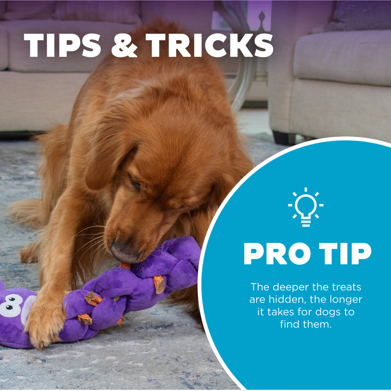 Twistiez Interactive Plush Dog Puzzle - Image 5